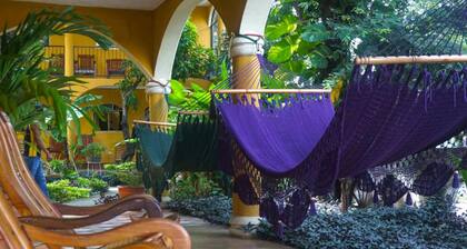 Hotel Casa Moreno - Hostel