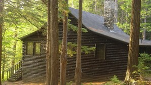 Eine rustikale Holzhütte mit einer Treppe, die zum Eingang führt, umgeben von hohen Bäumen und einem Waldboden.