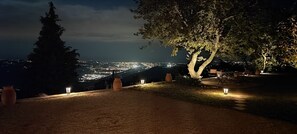 A nighttime view of a park with trees and a distant cityscape.