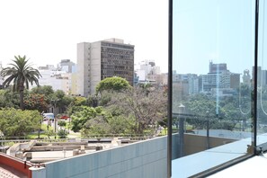 Apartment, 1 Double Bed with Sofa bed, Non Smoking | View from room