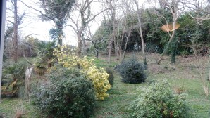 A garden with various shrubs and trees, including a prominent yellow flowering bush and a dark green bush. - Apartment with harbor and sea view in Perros Guirec (Perros-Guirec)