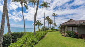 A well-maintained lawn with palm trees and a view of the ocean. - Napili Lani 315  2BD Beachfront Luxury (Lahaina)