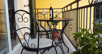 Uusi tilava studiohuoneisto Terra