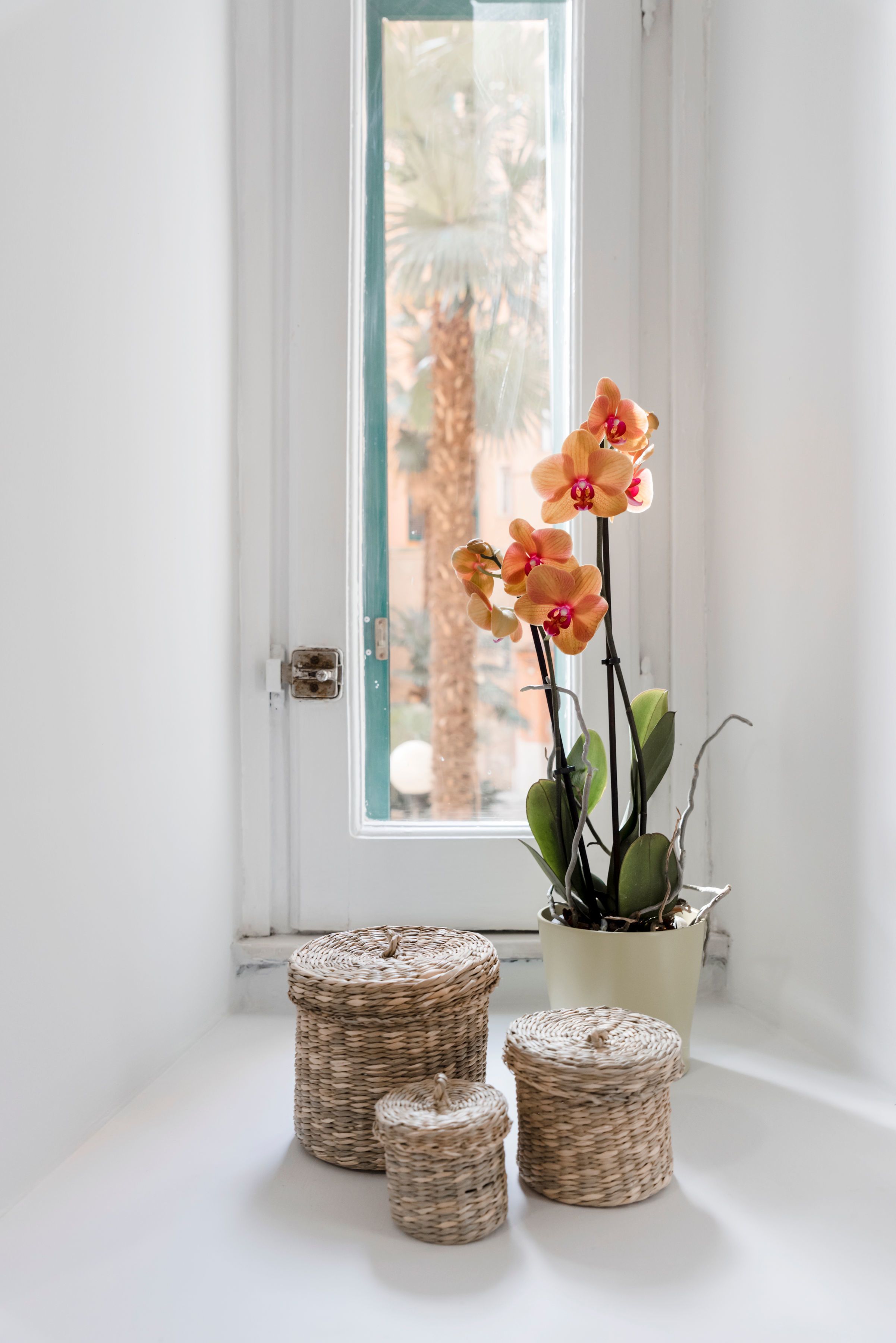 A window with a potted orchid and three wicker baskets on a white windowsill.