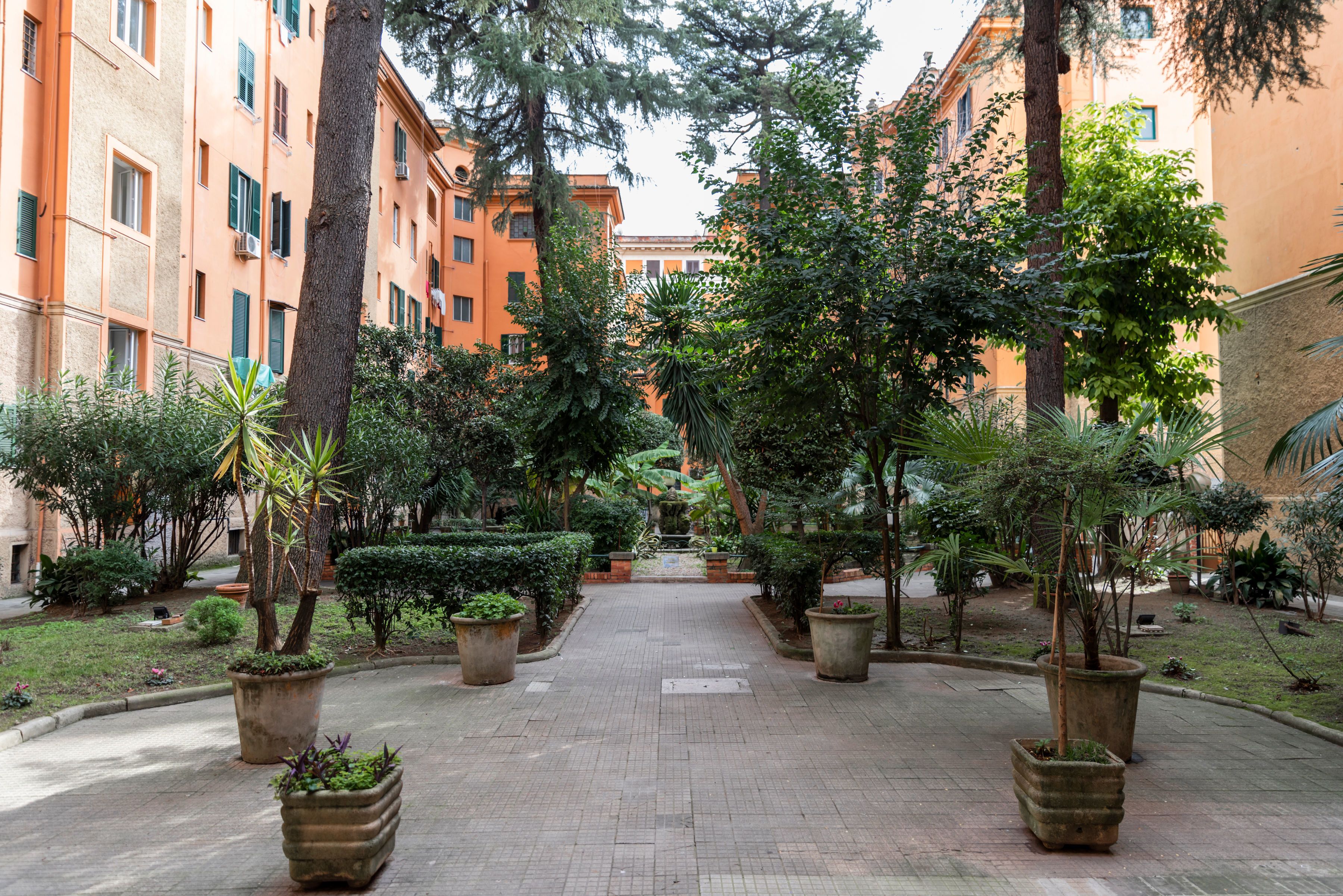 A courtyard with a paved walkway, surrounded by trees and potted plants, leading to a building with multiple windows.