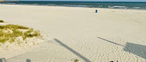 بالقرب من الشاطئ