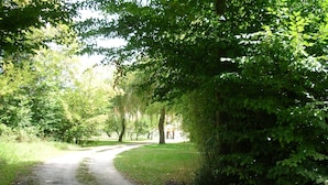 Um caminho pavimentado serpenteia por um parque, ladeado por árvores.