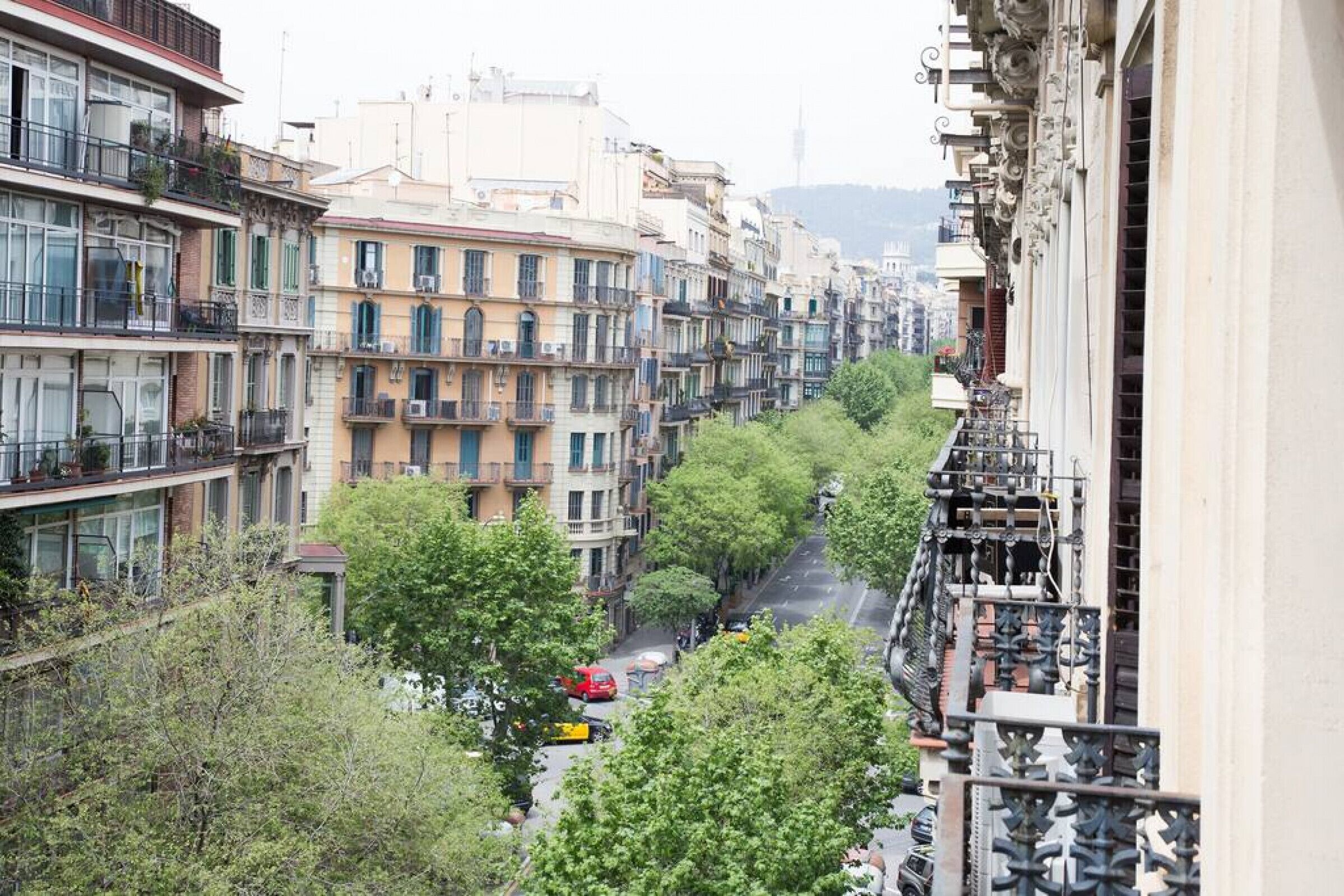 A narrow street lined with multi-story buildings, some with balconies and greenery in front.