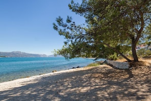 A beach with clear blue water, a stone wall, and a tree providing shade.