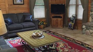 Televisión, chimenea y reproductor de DVD