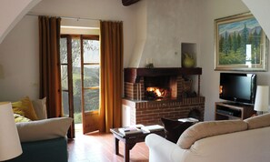 Smart TV, fireplace, DVD player, books