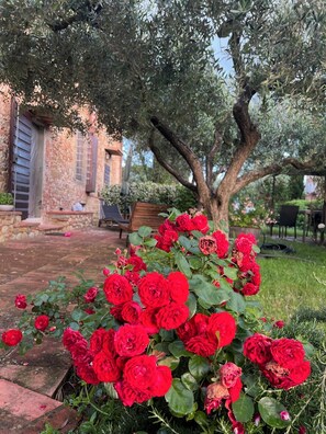 Parco della struttura