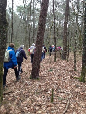 Un sentier de randonnée à travers une forêt, où l’on peut voir des personnes qui se promènent.