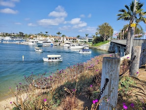 Stroll along the waterfront promenade, surrounded by lush greenery and flowering plants, with a scenic view of the marina and surrounding buildings.