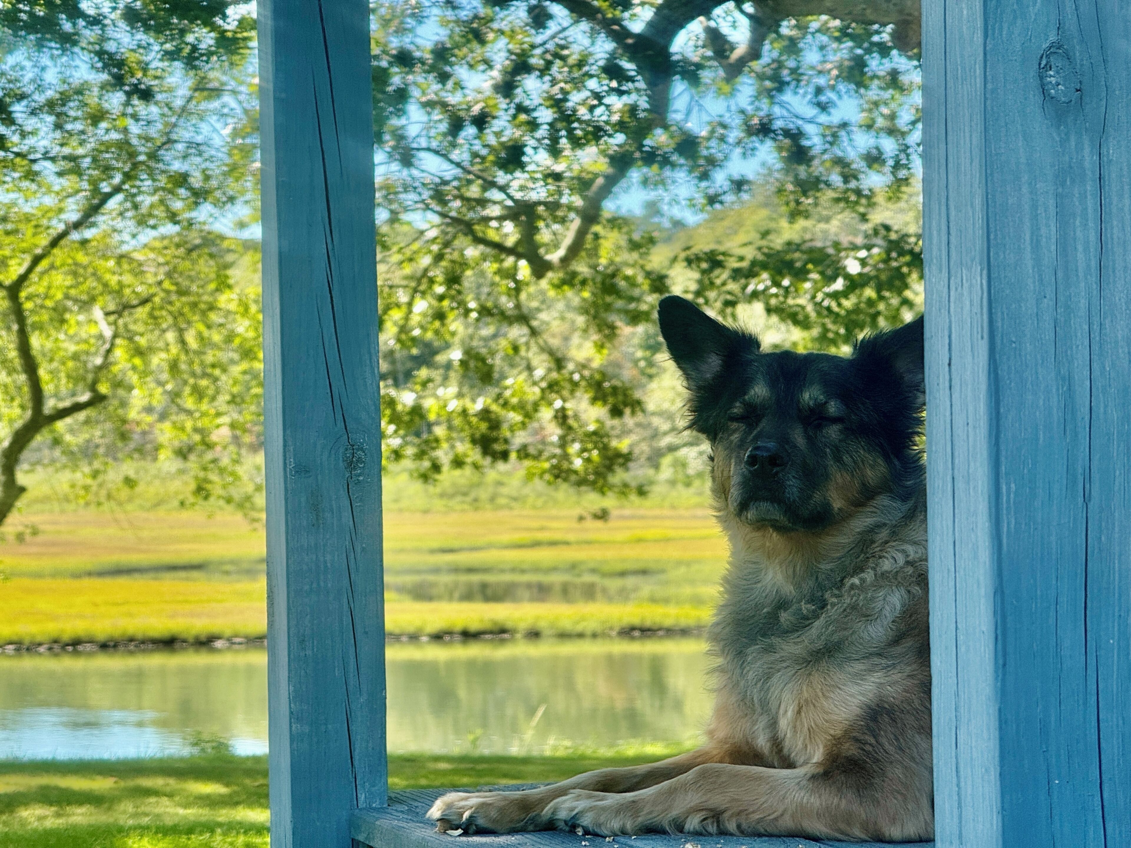 Enceinte de l’hébergement