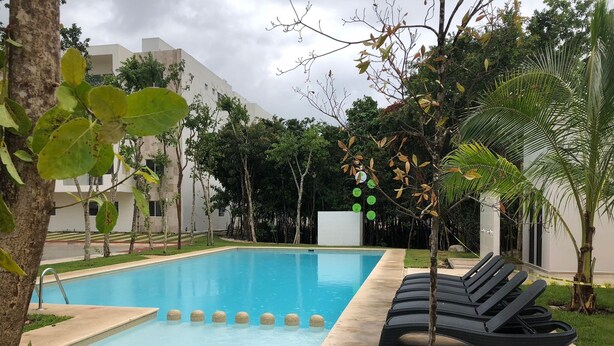 Une piscine avec des chaises longues et un petit arbre au premier plan.