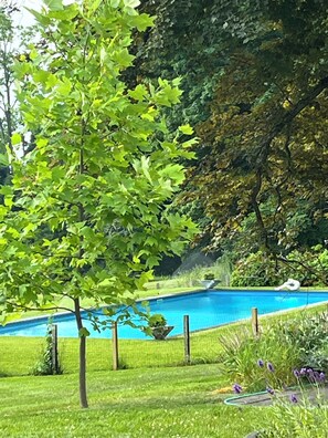 A swimming pool surrounded by lush greenery and a tree. - Elegant Waterfront Hudson River 12-acre Estate w/ Amazing  Views. 
Sleeps 14 (Saugerties)
