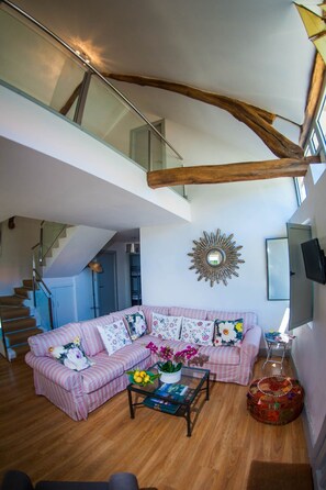 Smart TV, DVD player, books, video library