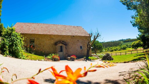 A stone building with a tiled roof, a small porch, and a garden with flowers and shrubs. - Stunning Barn Conversion located in the heart of the Galician countryside (A Coruna)