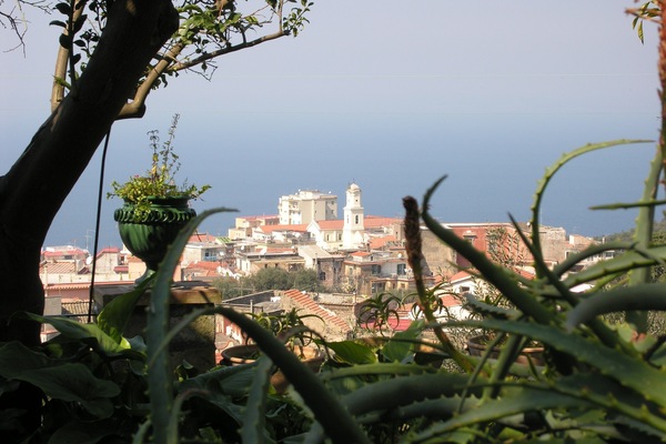 Vista desde la propiedad