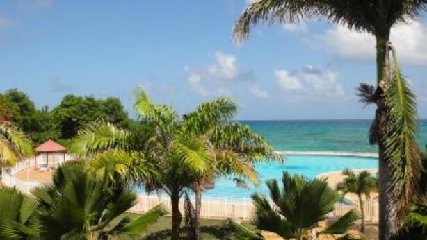Un resort tropical con piscina, palmeras y vista despejada al océano.