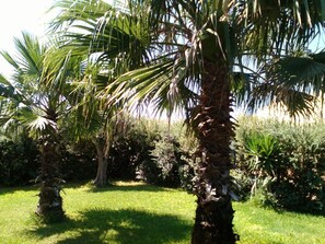 Overnattingsstedets uteområder