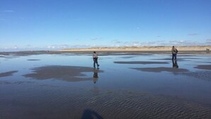 A beach with two people walking in shallow water, a clear sky, and distant dunes. - Original holiday in the westcoast STORE in Friedrichstadt / North Sea for 2-4 P.  (Friedrichstadt)