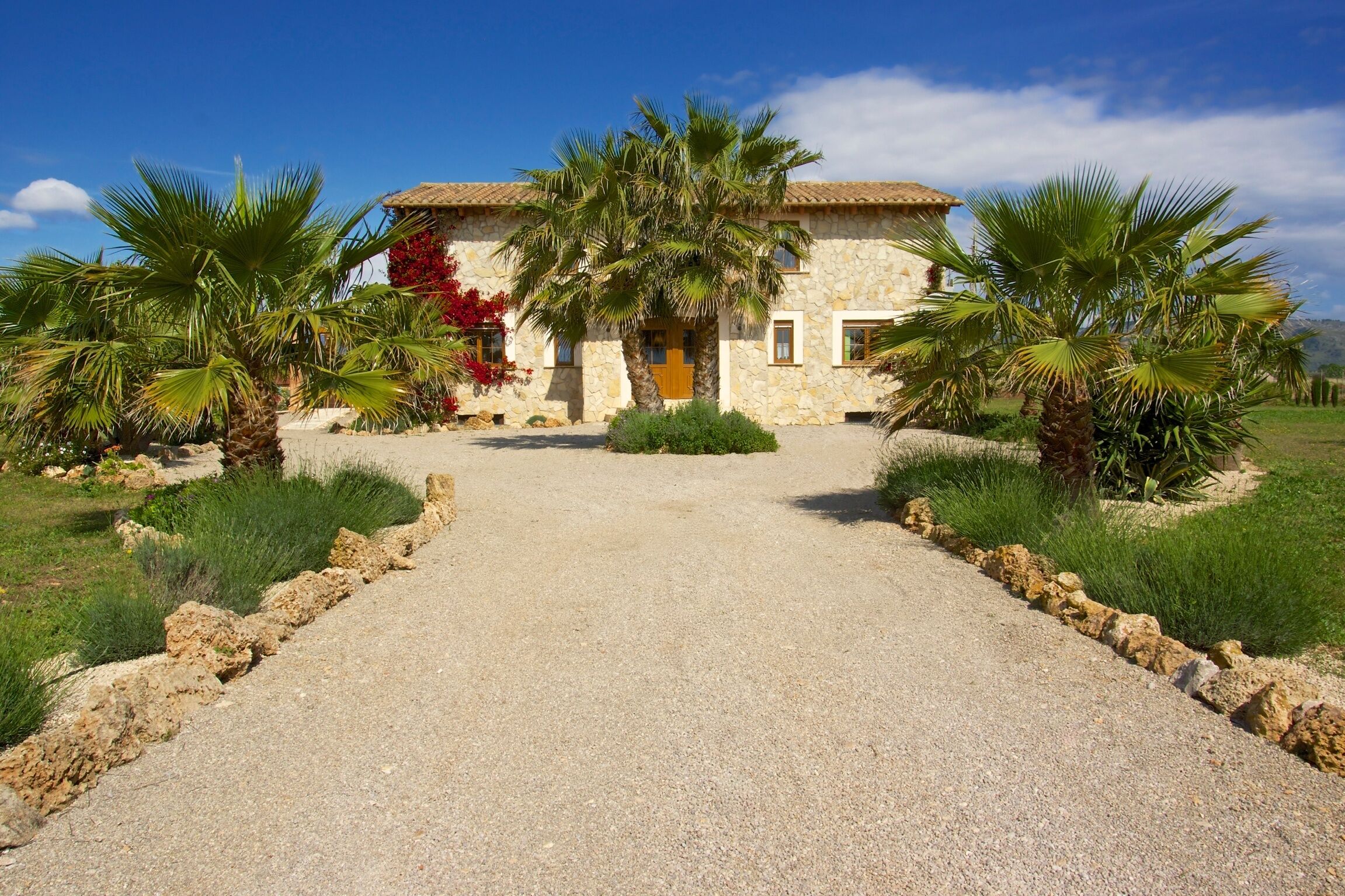 A stone building with a thatched roof, palm trees, and a gravel driveway.