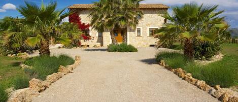 A stone building with a thatched roof, palm trees, and a gravel driveway.