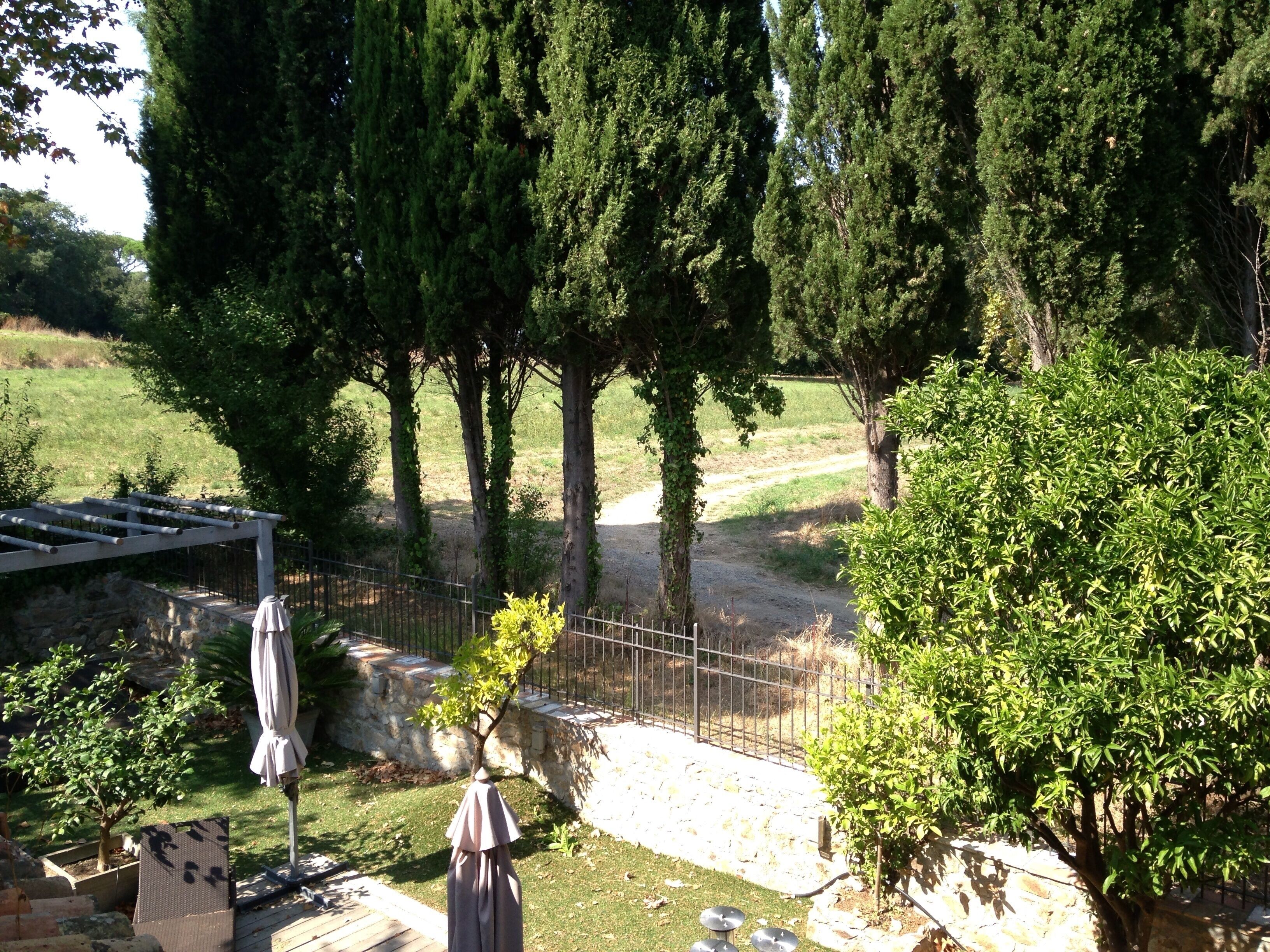 Small charming house, in village and clear view of the vineyards,