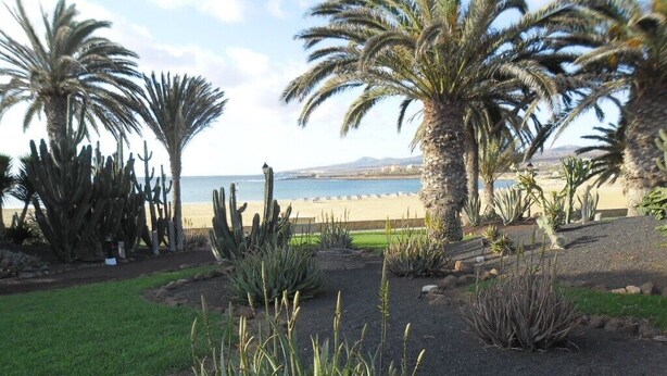 A garden with various plants and a view of the beach and sea in the background. - An oasis in the desert of civilization (FUERTEVENTURA)