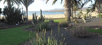 An oasis in the desert of civilization