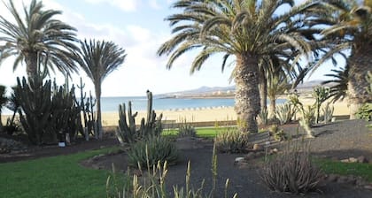 An oasis in the desert of civilization