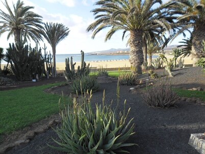 An oasis in the desert of civilization