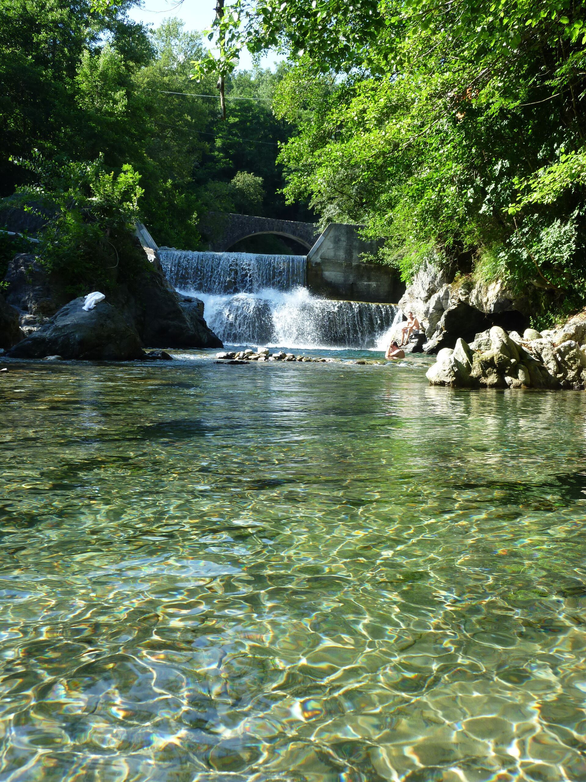 A clear, shallow stream with a waterfall and rocks, surrounded by lush greenery.