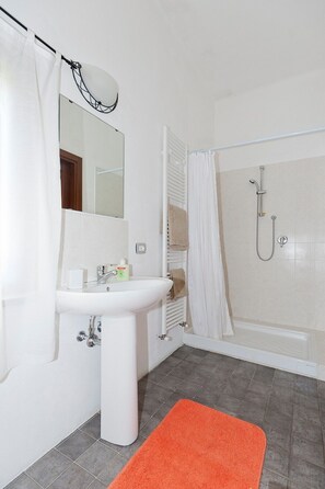 Combined shower/bathtub, hair dryer, towels, toilet paper