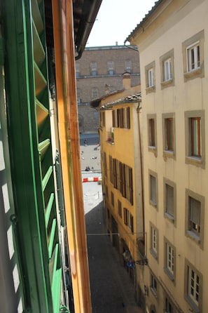 Palazzo Pitti viewed from the window of the living room