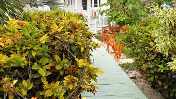 A pathway leading to a white house with a porch. - Nice Wooden House, a few steps from the beach - sleeps 6 - Strategic location (Green Turttle)