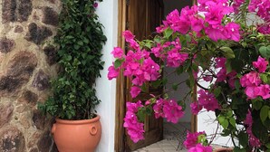 A stone wall with a potted plant and a wooden door. - Luxury 3-bed Villa,Spectacular Views, Saline pool & Staff   (Puerto Vallarta)