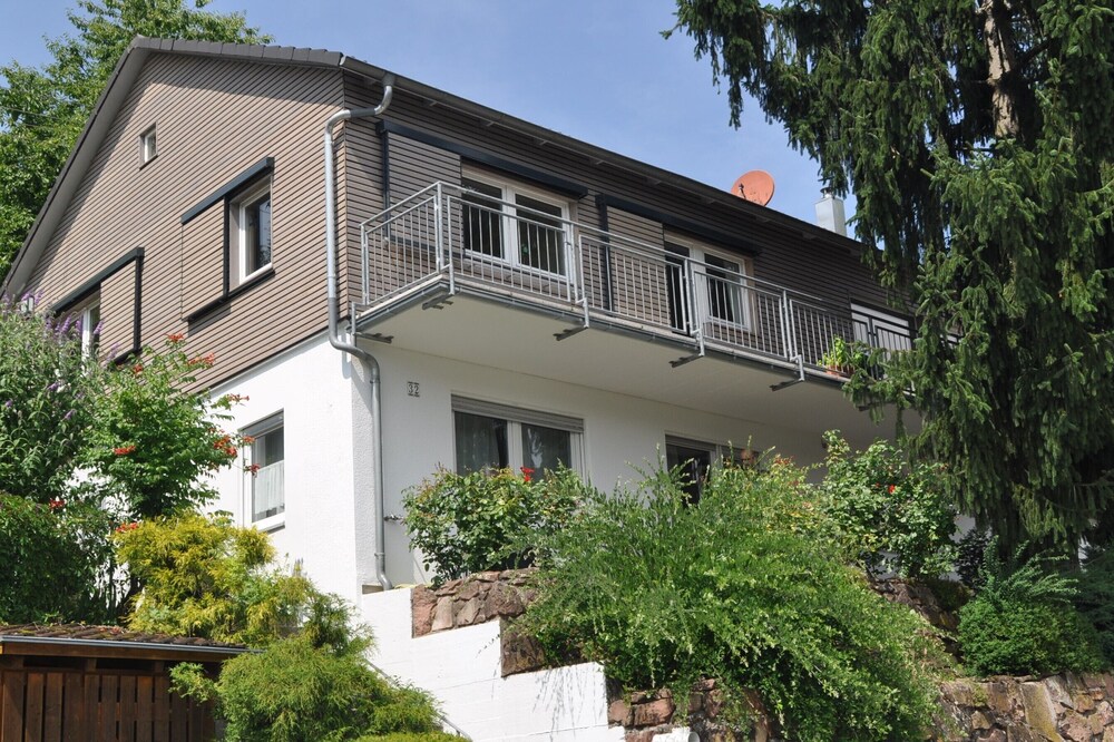 Cozy apartment with a private terrace near the forest near Heidelberg