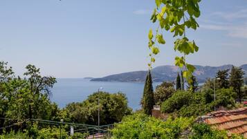 Vista dalla struttura