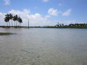 Unclassified image, 4 of 14, button