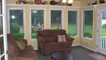 TV, DVD player, books, video library