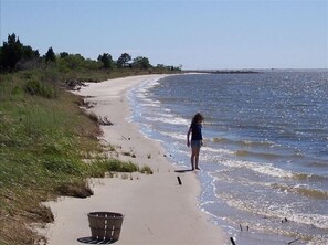 Beach - Waterfront Chesapeake Bay Retreat. (Salisbury)