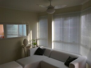 TV, DVD player, books, music library