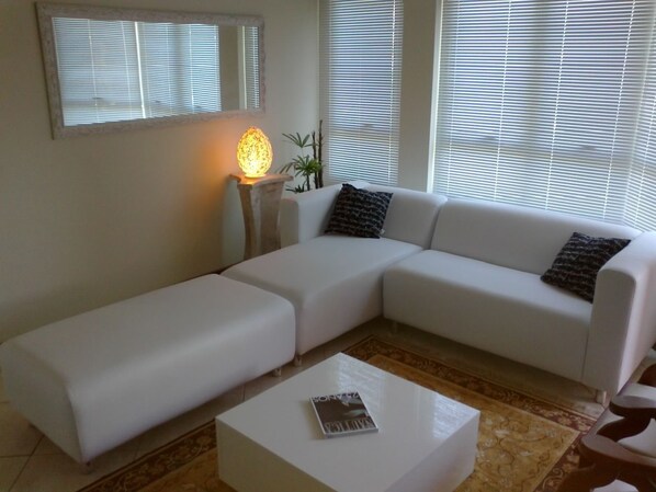 TV, DVD player, books, music library