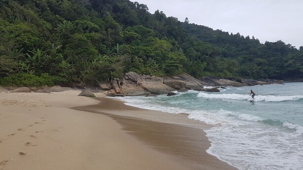 Una playa con arena, olas y una ladera boscosa.