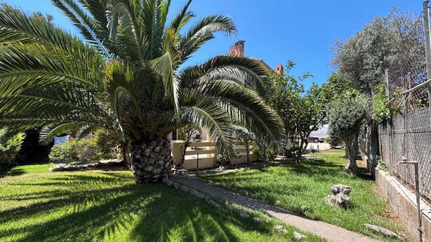 A well-maintained garden with palm trees, a stone pathway, and a fence. - Private villa with garden for two families !!100m from Solanas beach! 🏖 (Solanas)