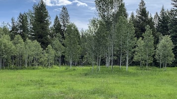 Overnatningsstedets område