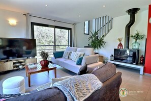 TV, fireplace, DVD player, books